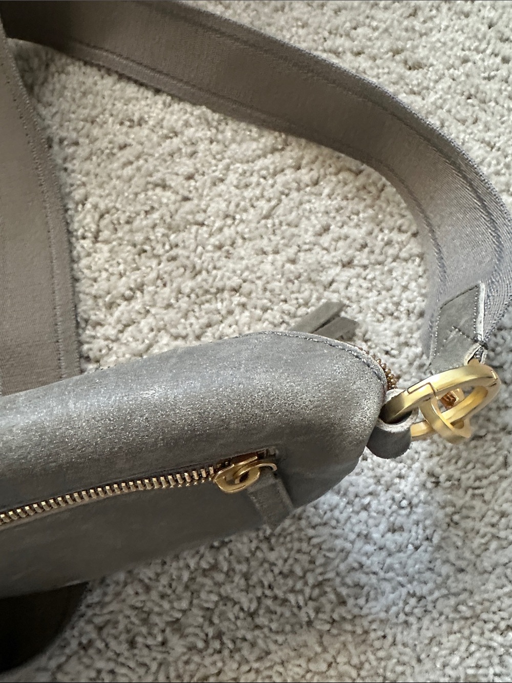 Hammitt Small Charles Crossbody in GUC! - Picture 7 of 10